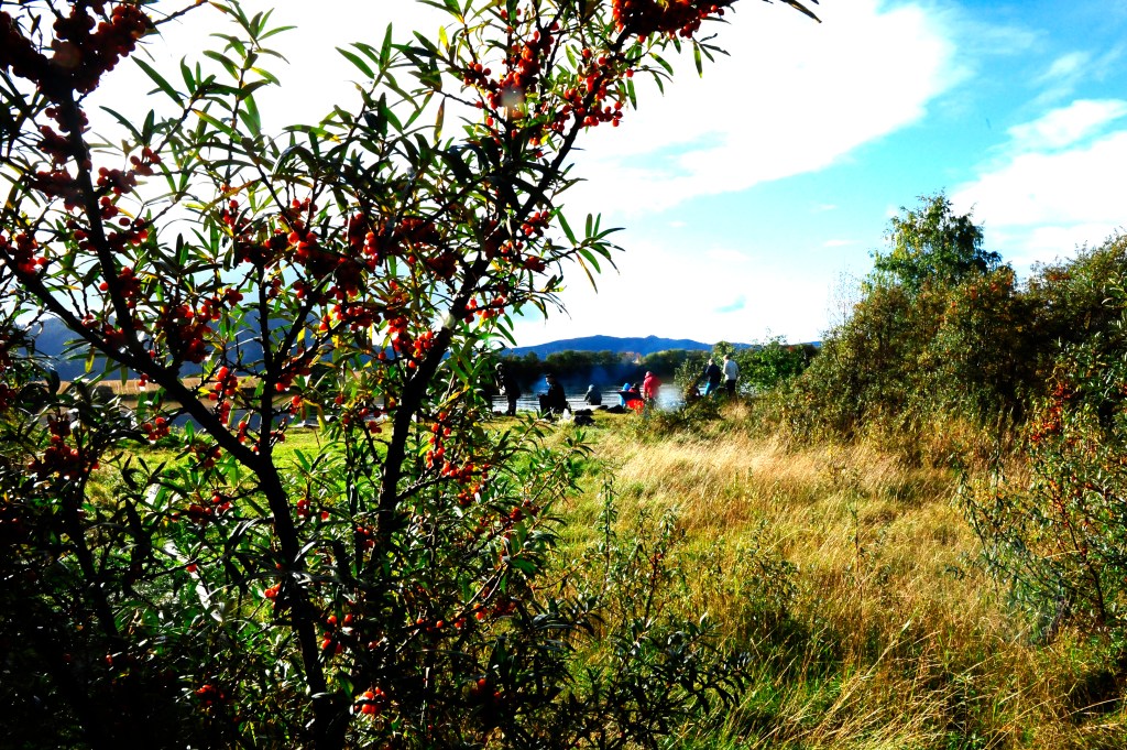 UM C-vitamininnsprøytning