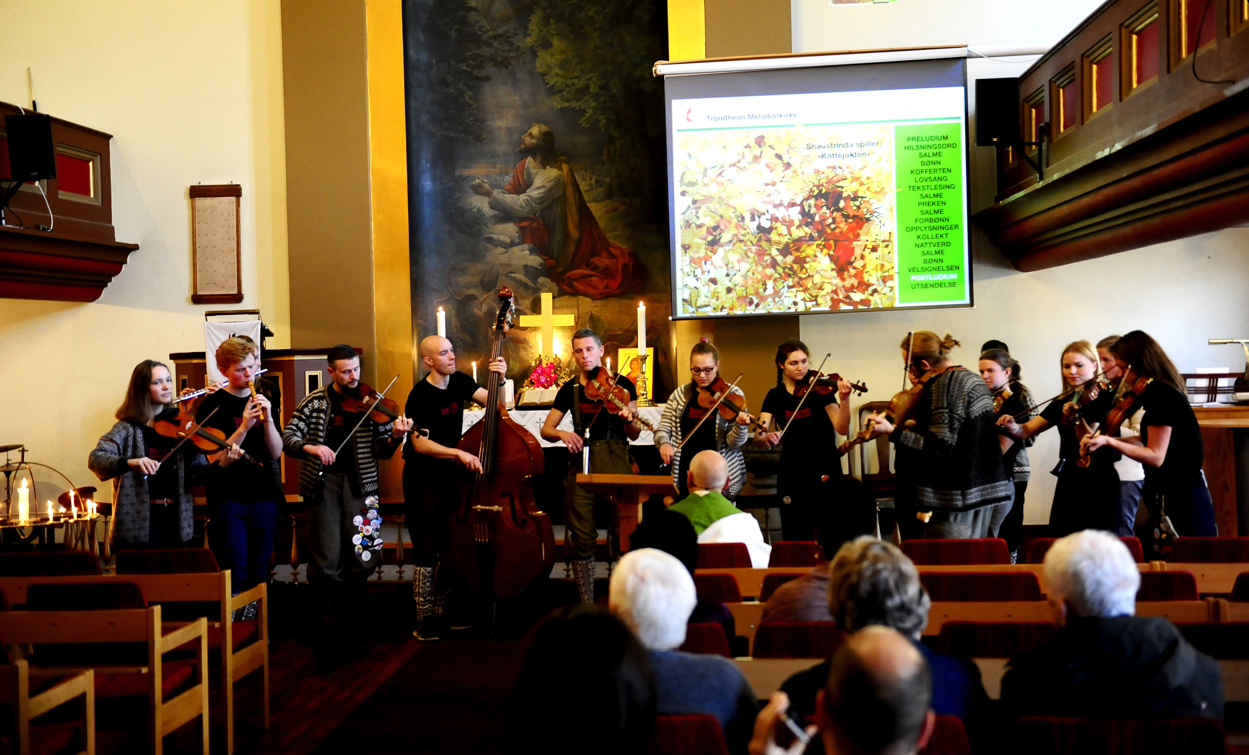 Mangfold-GT_ Snaustrinda-1