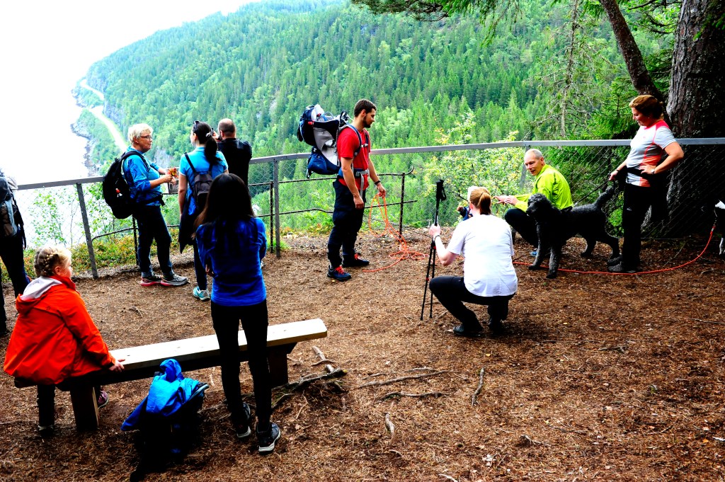 Vi hoppet ikke etter St.&nbsp;Olav