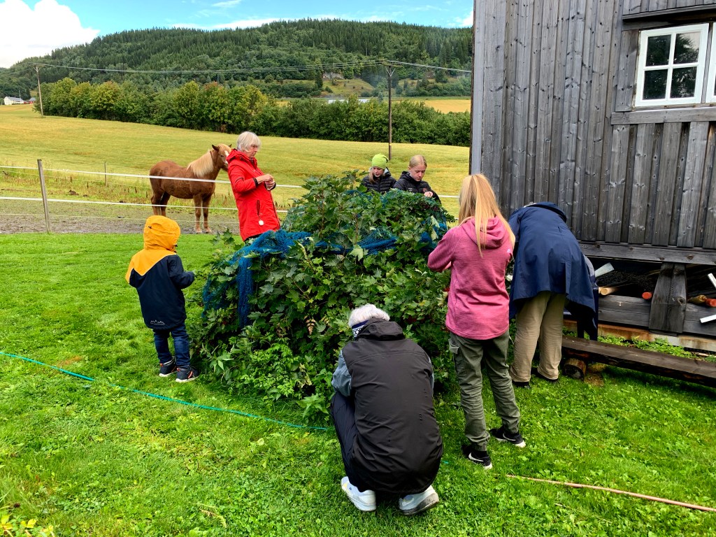 Låvegudstjeneste med smak av&nbsp;skaperverket!